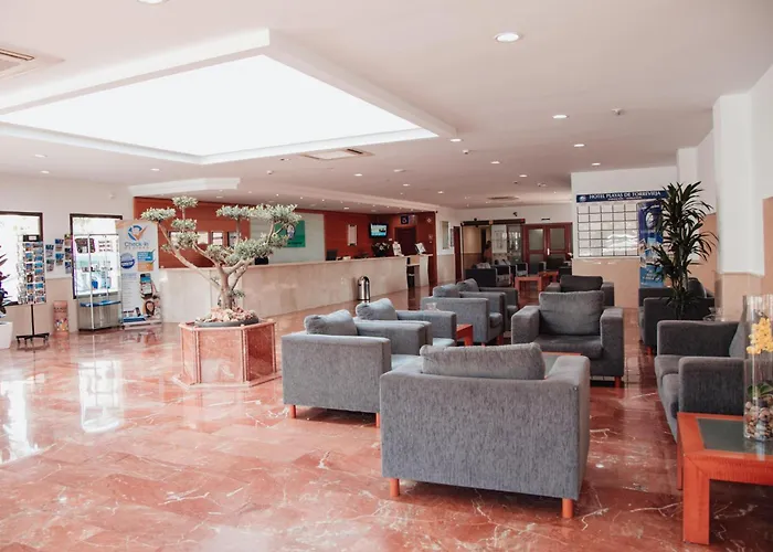 奥里韦拉普托雷维耶哈酒店 3*